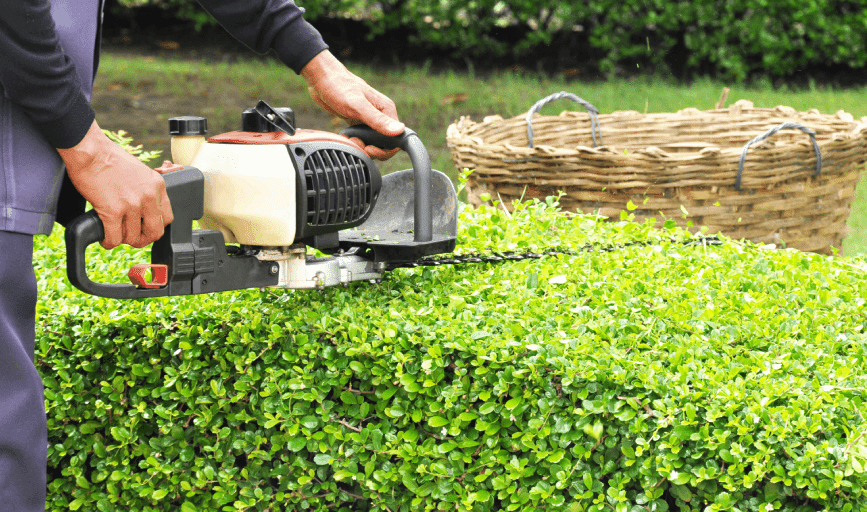 Hedge Trimming